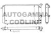 AUTOGAMMA 100873 Radiator, engine cooling